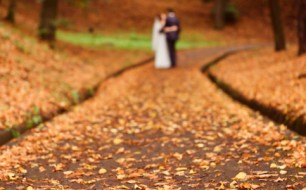 Autumn road
