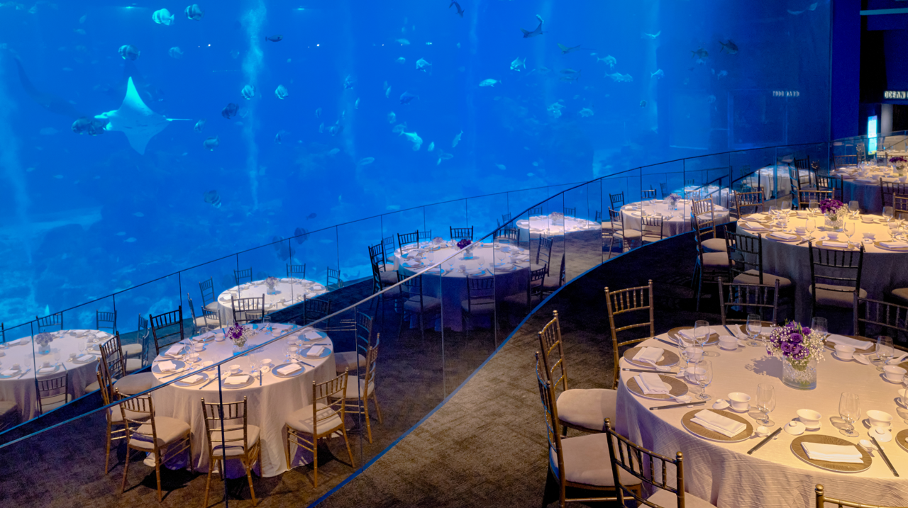 Ocean gallery 2.jpg