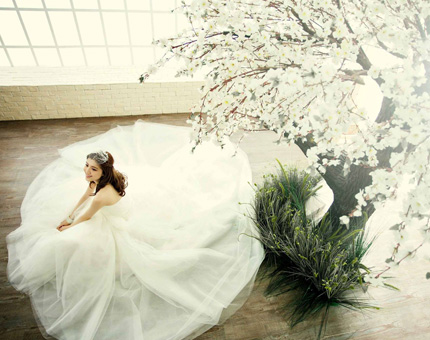 November Open House & Wedding Promotions