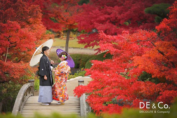 26870_original.jpg