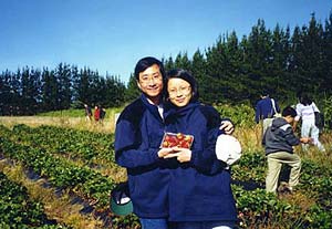Strawberries