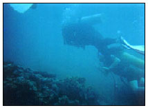 Diving