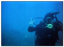 Diving