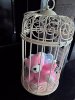 birdcage.jpg