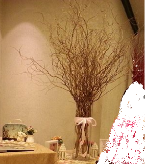 WIshing tree1.png