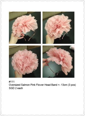 a111 Flower Head Band.jpg