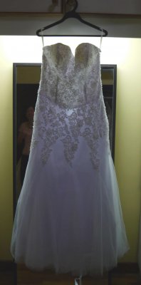 Gown2b.JPG