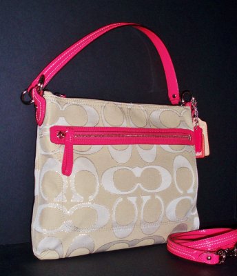 coachbag.jpg