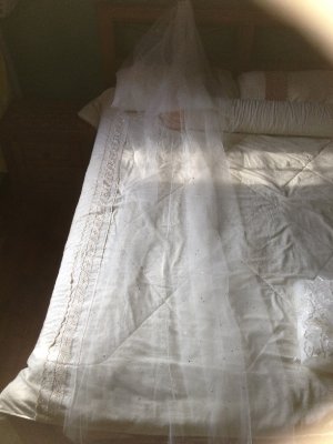 IMG_6794.JPG