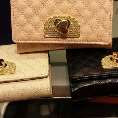 bn_ladies_wallet_1388404406_f4b88ca8.jpg