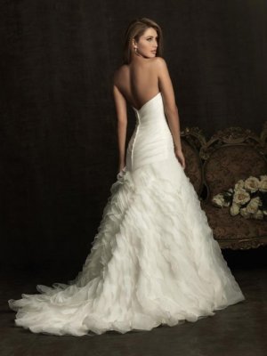 organza dress2.jpg