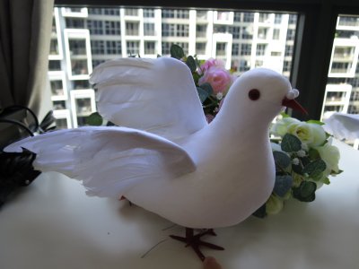 photo 1.JPG