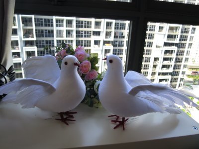 photo 2.JPG