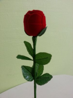 20140508_173209.jpg
