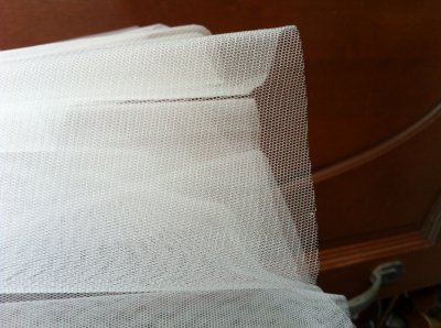 veil1.JPG