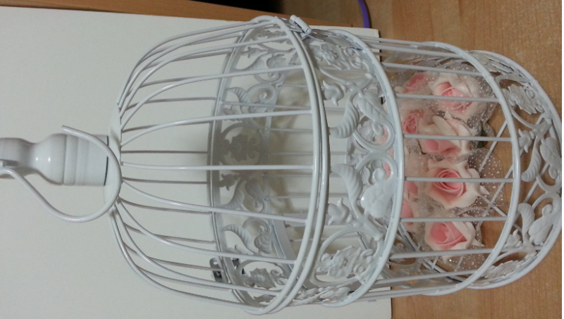 Bird cage.png