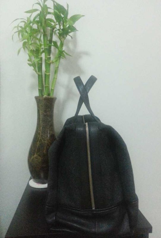 2_bag.jpg