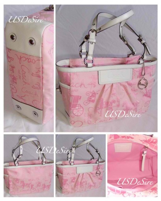 PINKBAG0s.jpg
