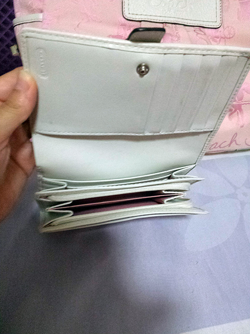 PINKBAG2S.jpg