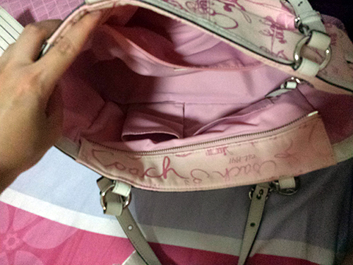 PINKBAG4S.jpg