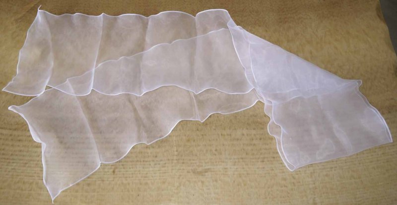 Organza3Small.JPG