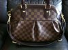 LV Trevi PM close up.JPG