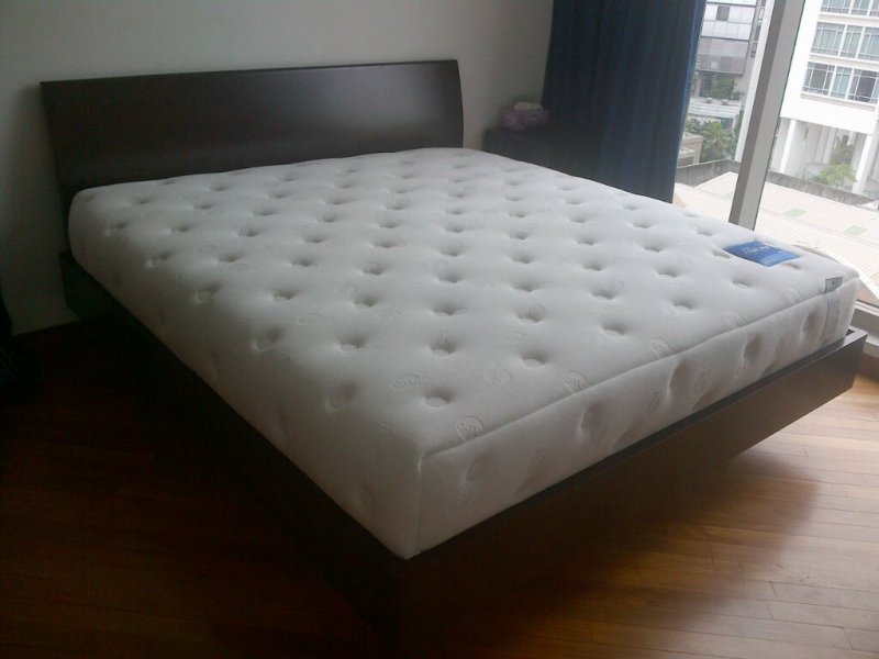 IMG-20121105-00428.jpg