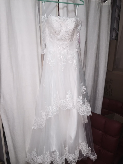 Lace gown hanging.jpg