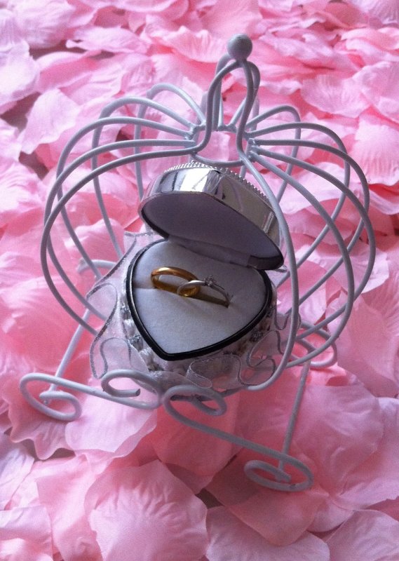Ring Holder SGD9.jpg