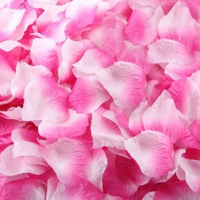 Pink off white fabric roses petals.jpg