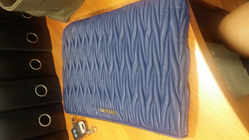 miu miu clutch.jpg