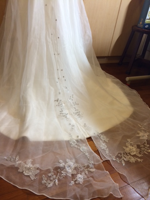 gown train.JPG
