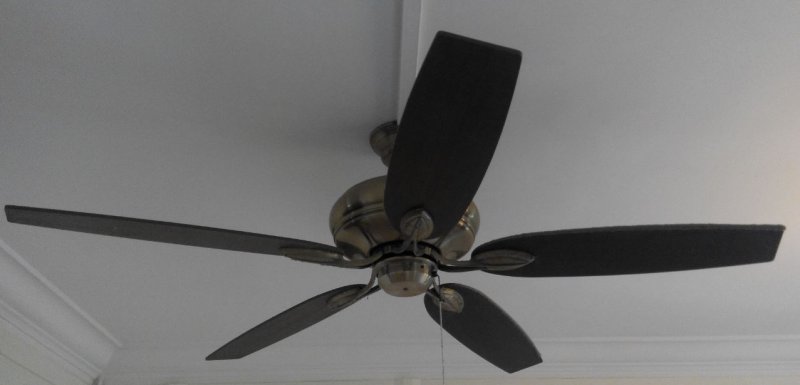 Ceiling Fan no light.JPG