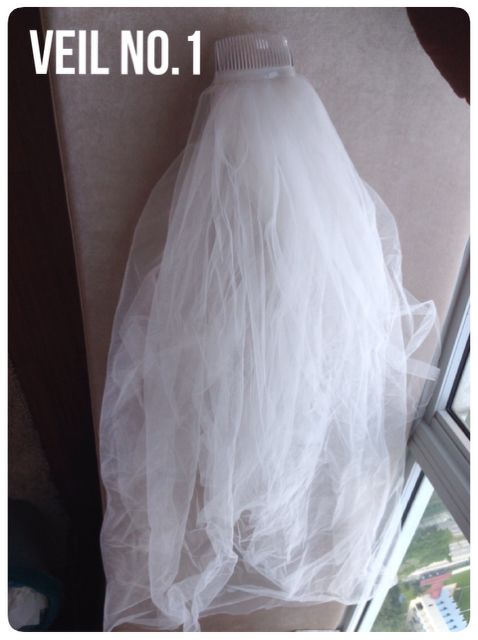 Veil01.jpg