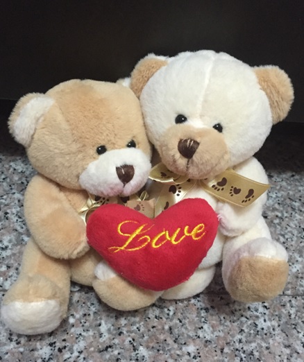 Couple Teddy Bear.jpg