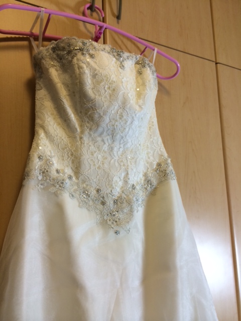 gown front closeup.JPG