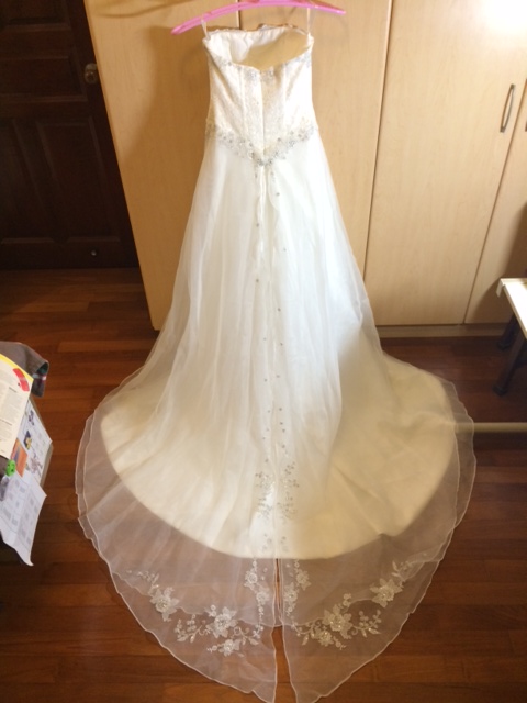 gown back5.JPG