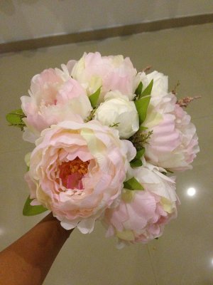 P1.jpg