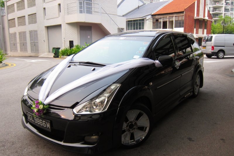 cardecoCAR.JPG