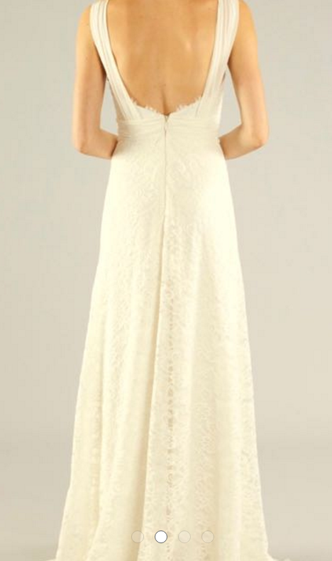 Nicole Miller Gown3.PNG