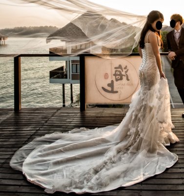DressF-MermaidBack.jpg