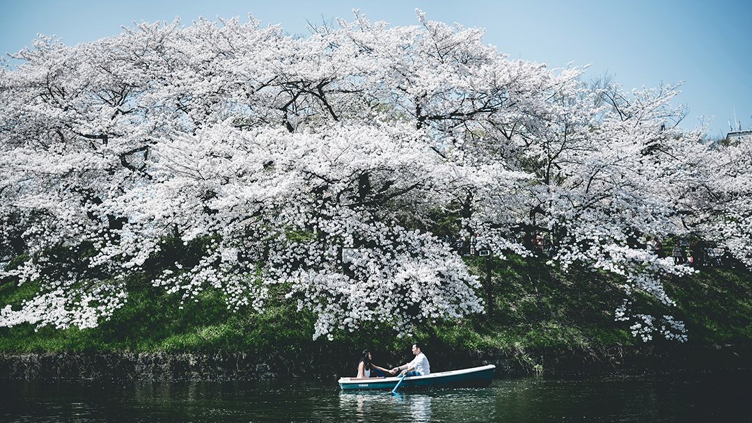 Japan Tokyo Prewedding 18.JPG