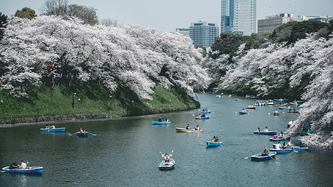 Japan Tokyo Prewedding 26.JPG