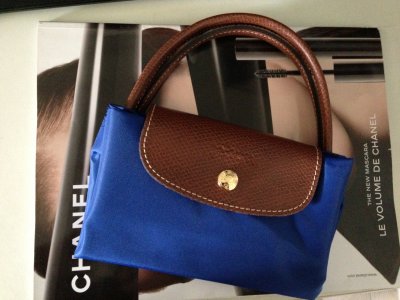 small longchamp bag.JPG