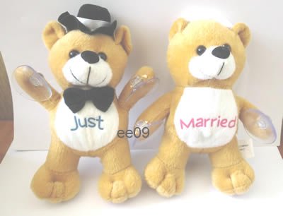 car bear 1.jpg
