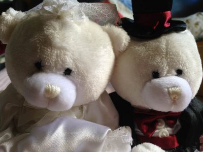 bears close up.jpg