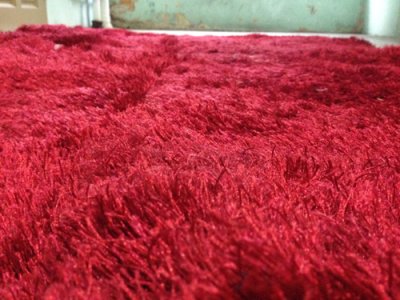 Carpet 2.jpg
