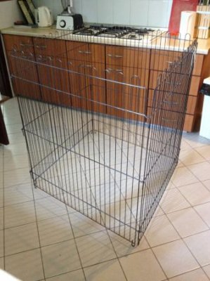 playpen.JPG