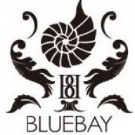 BlueBay Wedding