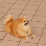 Sujay sharan